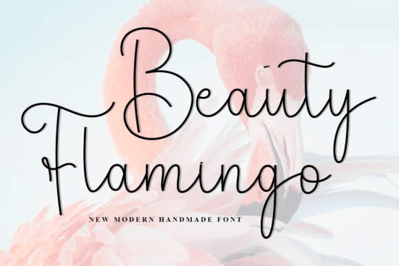 Beauty Flamingo: A Script Font for Creative Campaigns