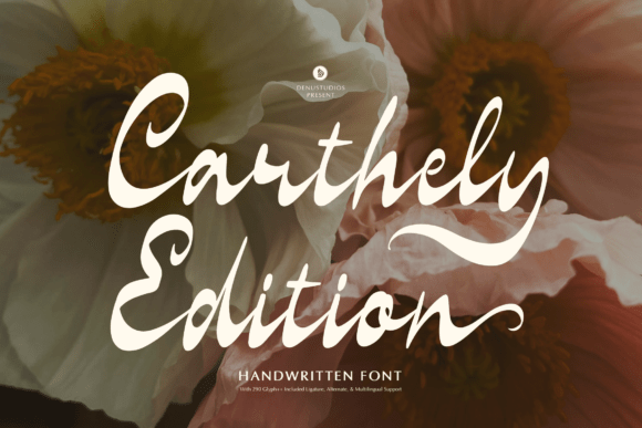 Carthely Edition: A Graceful Script Font for Brand Designers