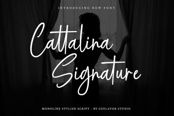 Cattalina Signature: A Web Designer's Review of This Script Typeface