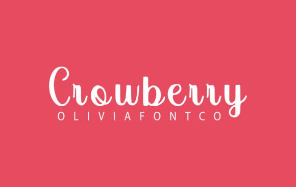 Crowberry Font: Elegant Script for Business