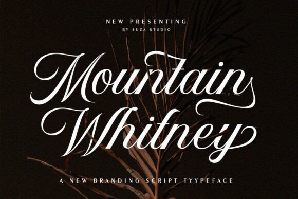 Mountain Whitney: A Calligraphy Script Font for Thoughtful Editorial Design